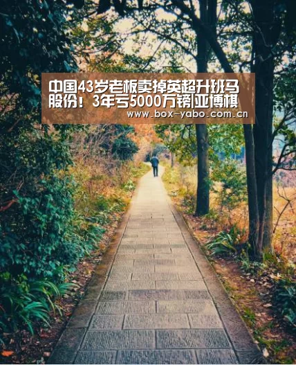 中国43岁老板卖掉英超升班马股份!3年亏5000万镑|亚博棋牌(图1) 亚博棋牌