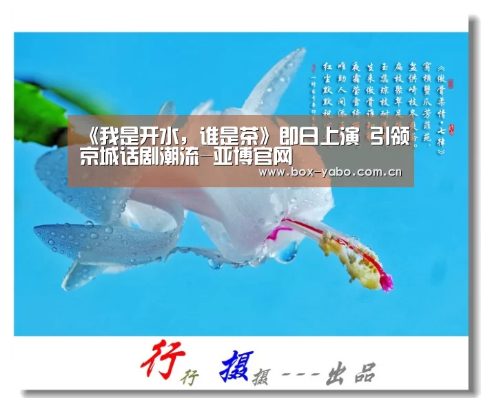 《我是开水,谁是茶》即日上演 引领京城话剧潮流-亚博官网(图1) 亚博棋牌